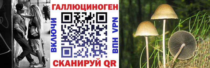 Псилоцибиновые грибы Psilocybine cubensis  закладка  Туапсе 
