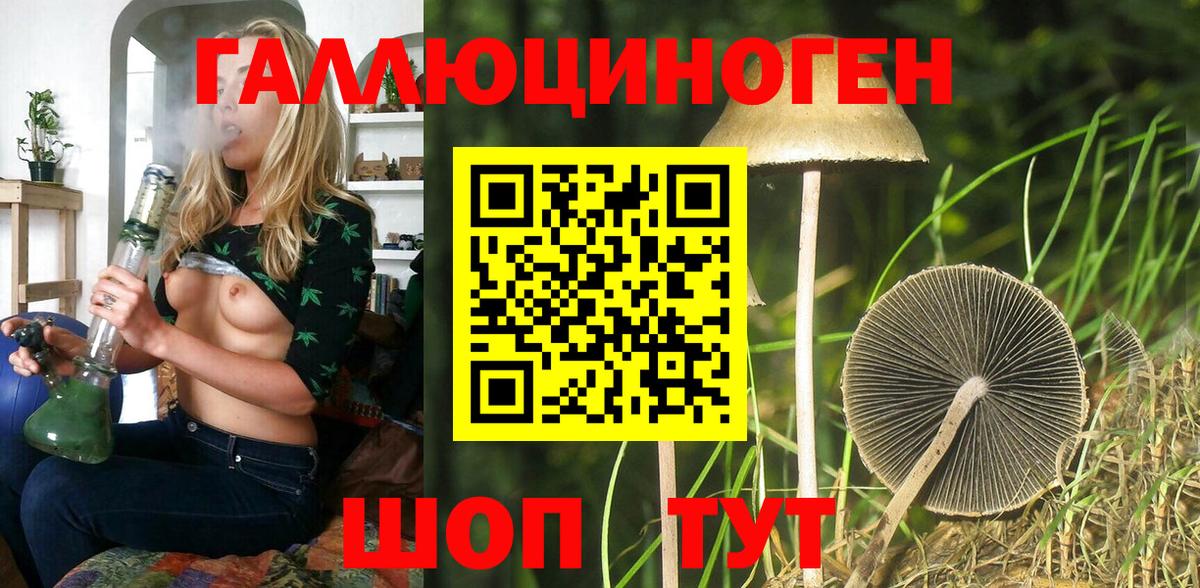 Туапсе  Галлюциногенные грибы MAGIC MUSHROOMS  Галлюциногенные грибы Psilocybe  Вход с VPN 
