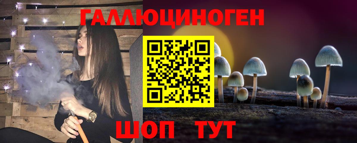 Галлюциногенные грибы Psilocybe Туапсе
